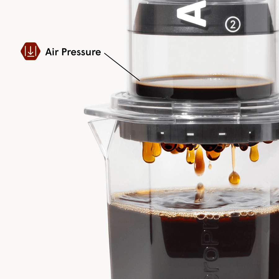 Coffee Maker XL by AeroPress